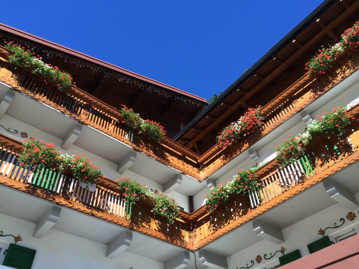 Hotel Roy Malga Ciapela Kültér fotó